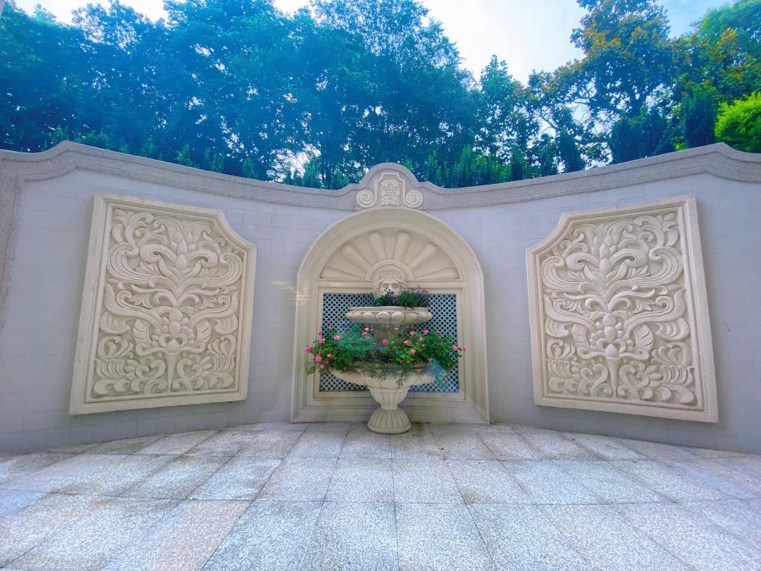 1667398211621517.jpg 4.jpg