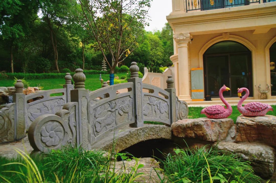 1667398231230253.jpg 5.jpg