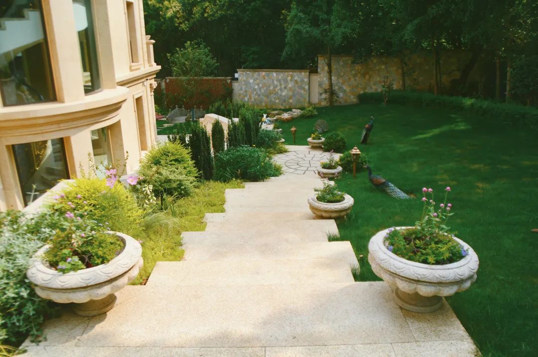 1667398288539489.jpg 7.jpg