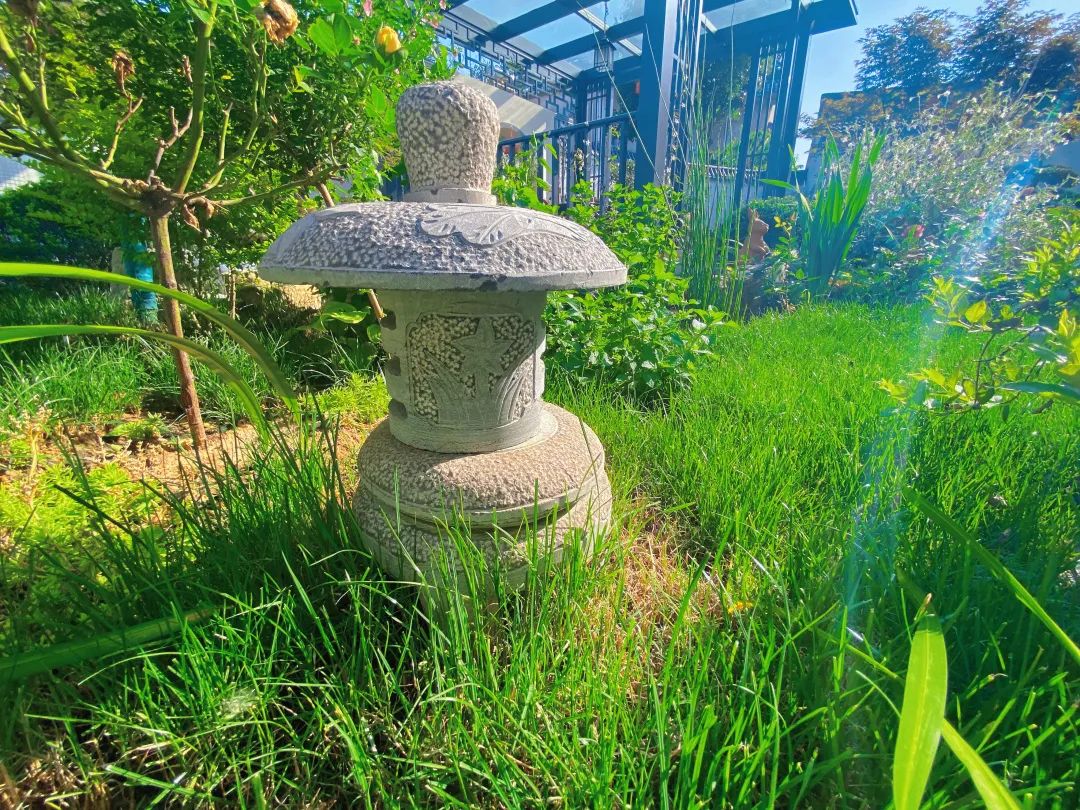 1667398309155996.jpg 8.jpg