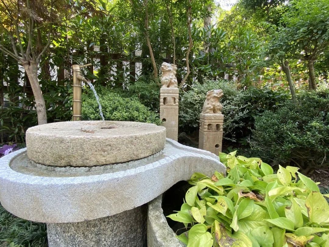 1667398334699886.jpg 9.jpg