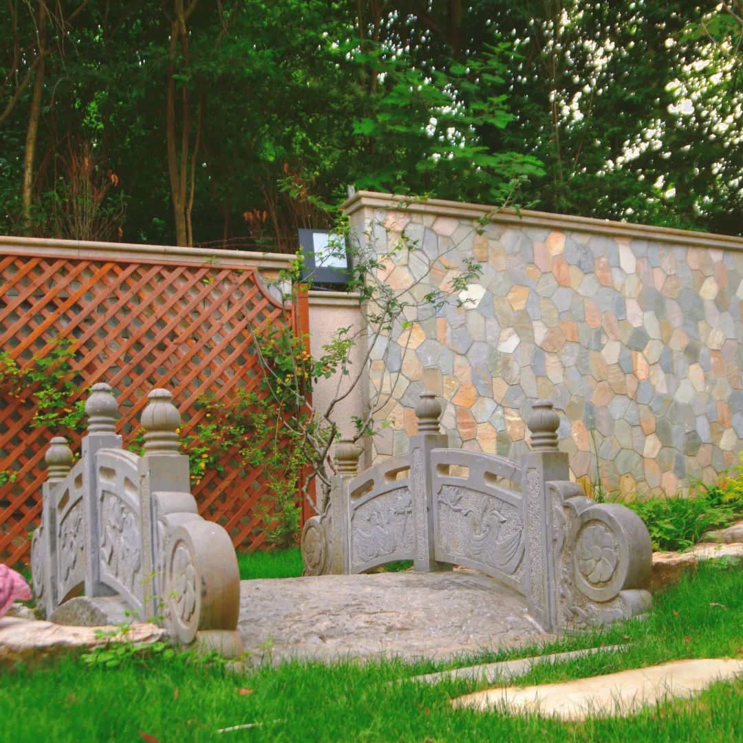 1667398393339918.jpg 11.jpg