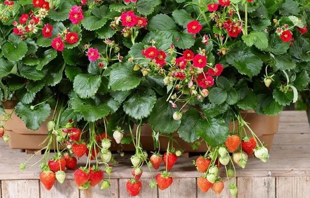 1668315459117829.png 3.png