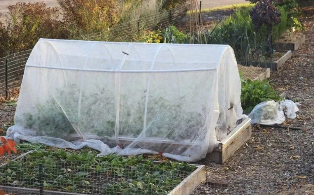 1668315497161941.png 4.png